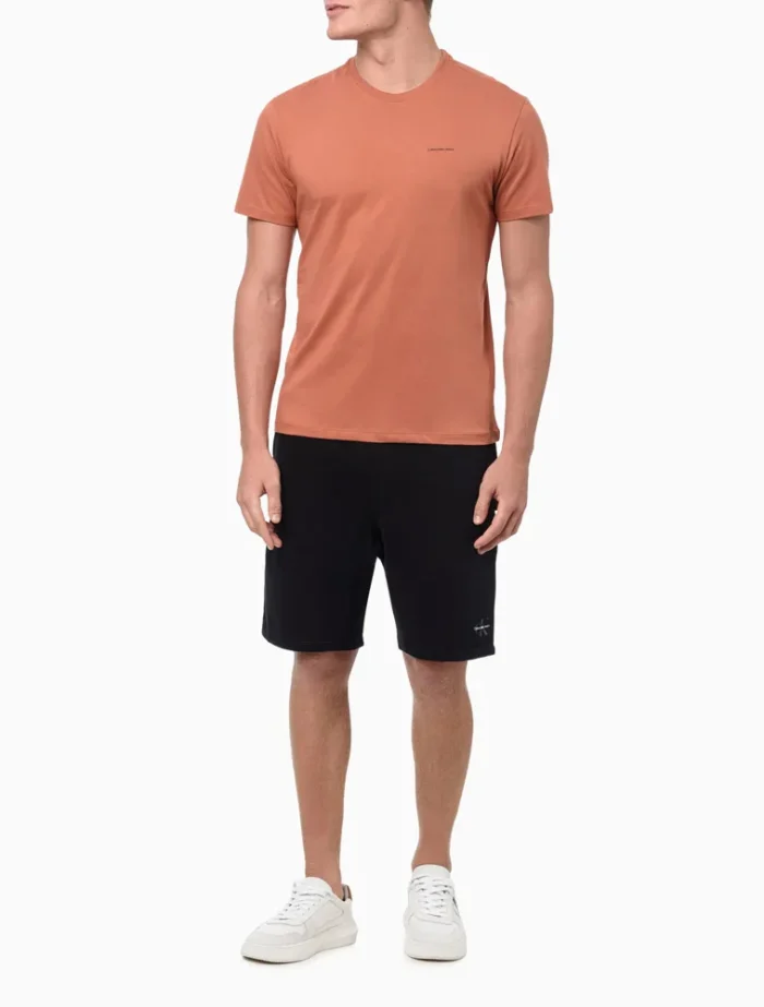 CAMISETA MASCULINA LOGO BÁSICO CALVIN KLEIN JEANS FERRUGEM - Imagem 3